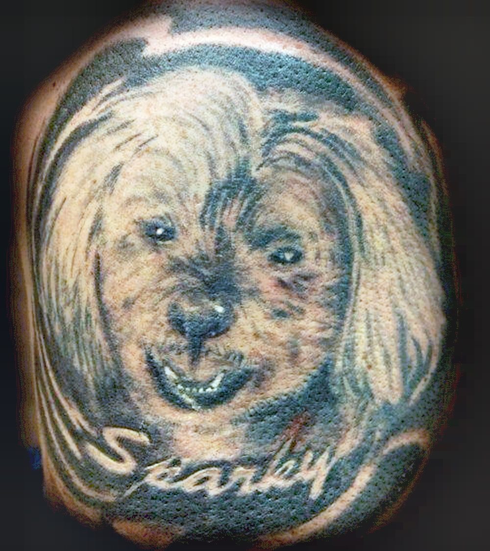 This dog desperately needs to be put to sleep... its tattoo, that is.