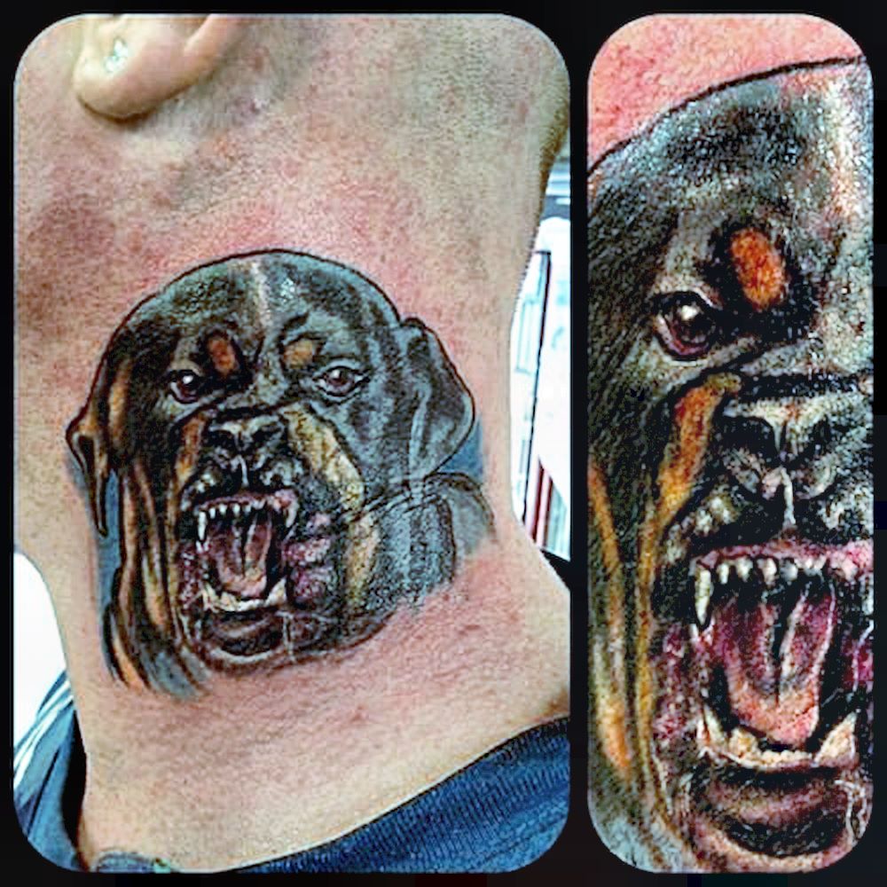This dog is angry at its terrible tattoo.