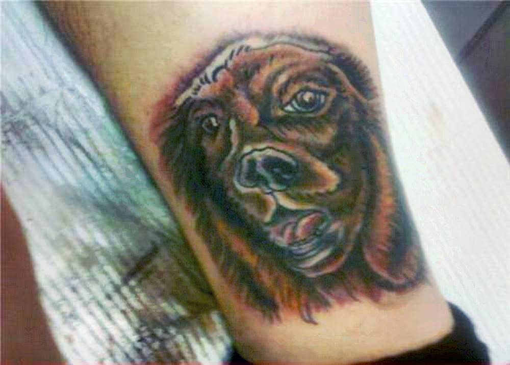 The tattoo looks pretty good if this dog was supposed to be shaking itself dry.