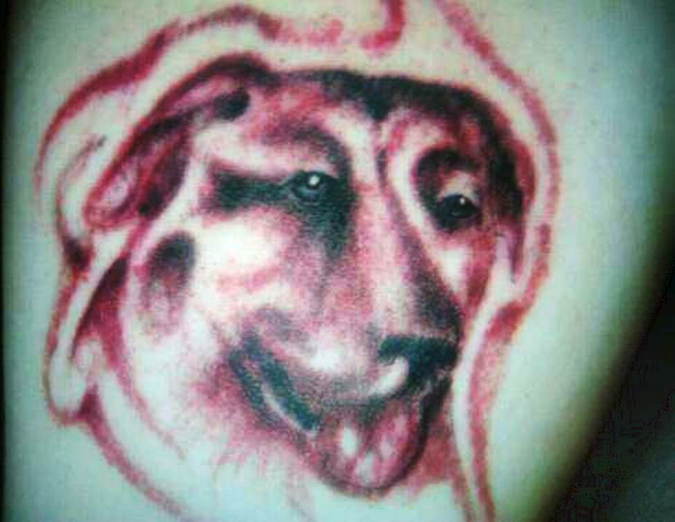 What's downs, dog? (referring to the Down Syndrome-like appearance of the dog in the tattoo)