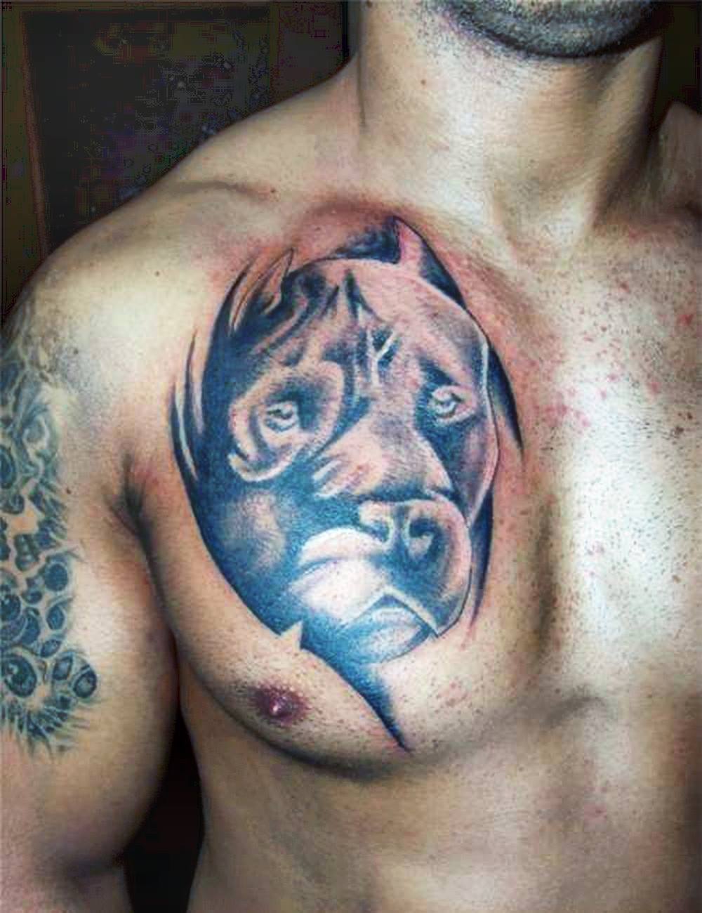 This concerned dog is wondering why its owner thought this tattoo was a good idea.