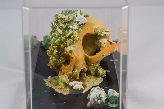 Growing crystals on skulls