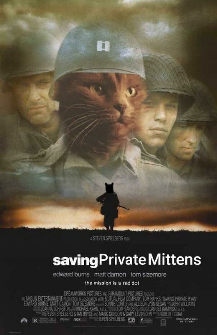 Photoshopping cat into movie posters