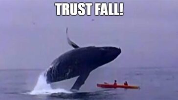 Funny Whale memes