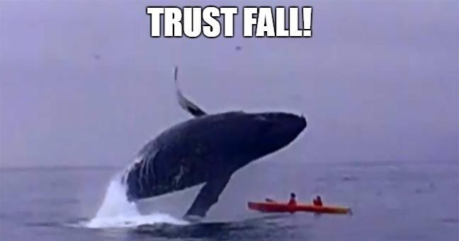 Funny Whale memes