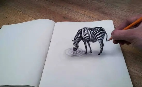 Optical Illusion Drawings