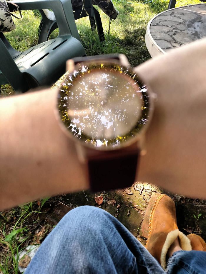 A camera focused on the reflection of a tree instead of a watch.