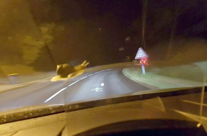 A lucky perspective shot that makes it look like a reckless giant snail is dangerously overtaking a car on the turn.