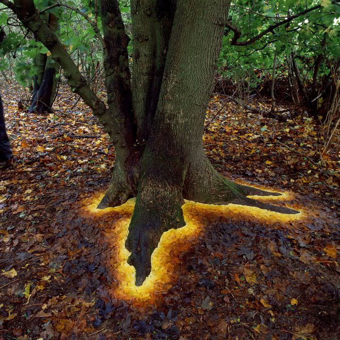 Glowing base of a tree made by arranging leaves.