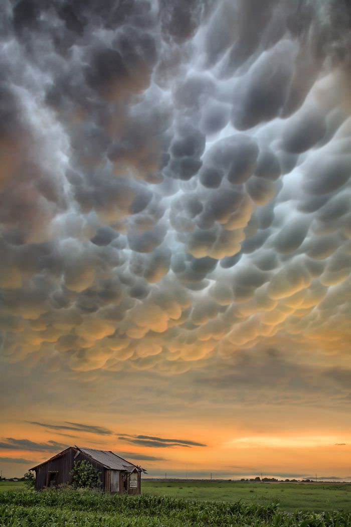 Mammatus clouds.