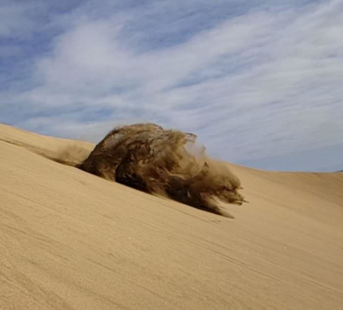 A sandbear created by crashing into the sand.