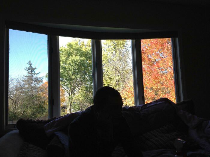 A window that makes a backyard look like it's in 4 different seasons.