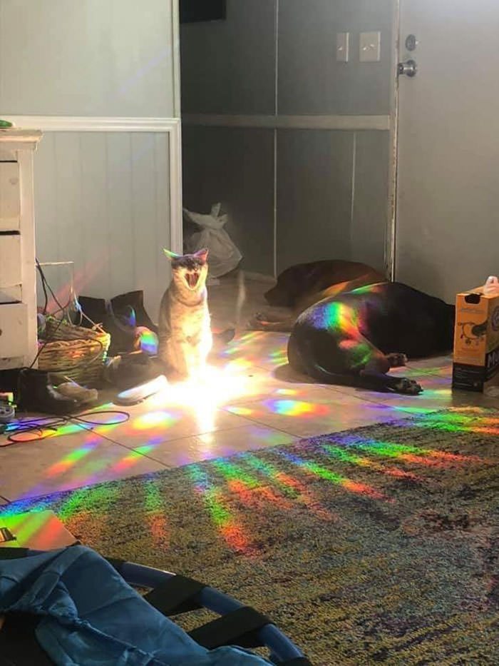 A picture of someone charging up for their special attack.