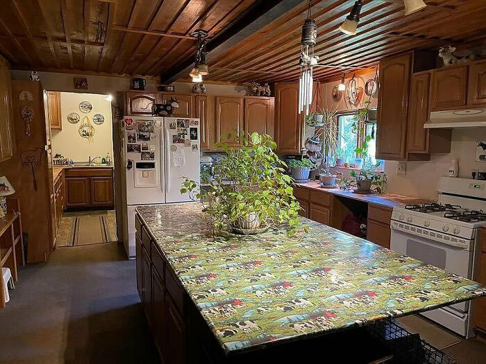 Check out those cow countertops.