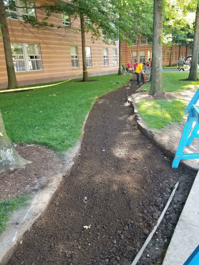 My university giving into the desire path