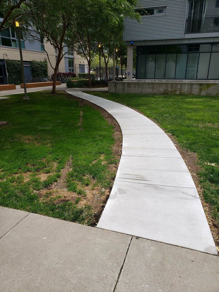 My apartment turned a desire path into an official path