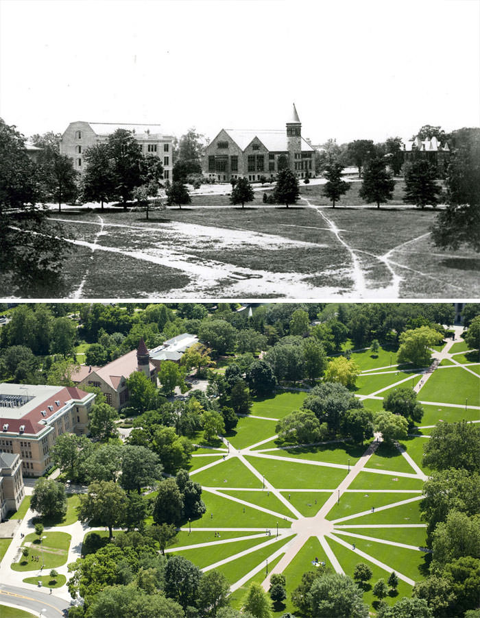 The oval walkways at ohio state university were paved based on the students' desire paths
