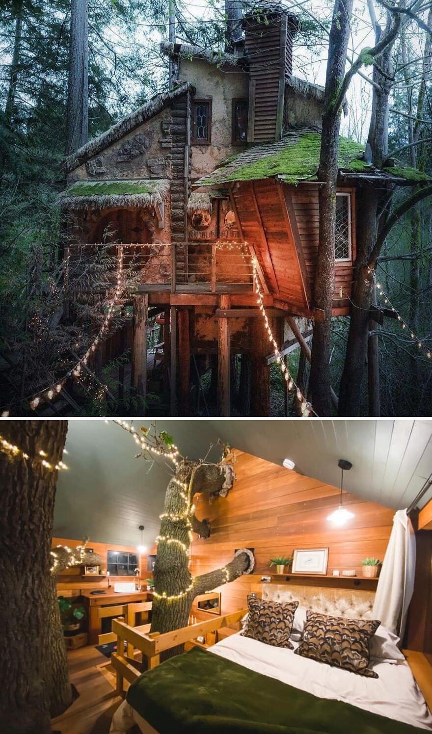 Witchy treehouse in Pacific Northwest