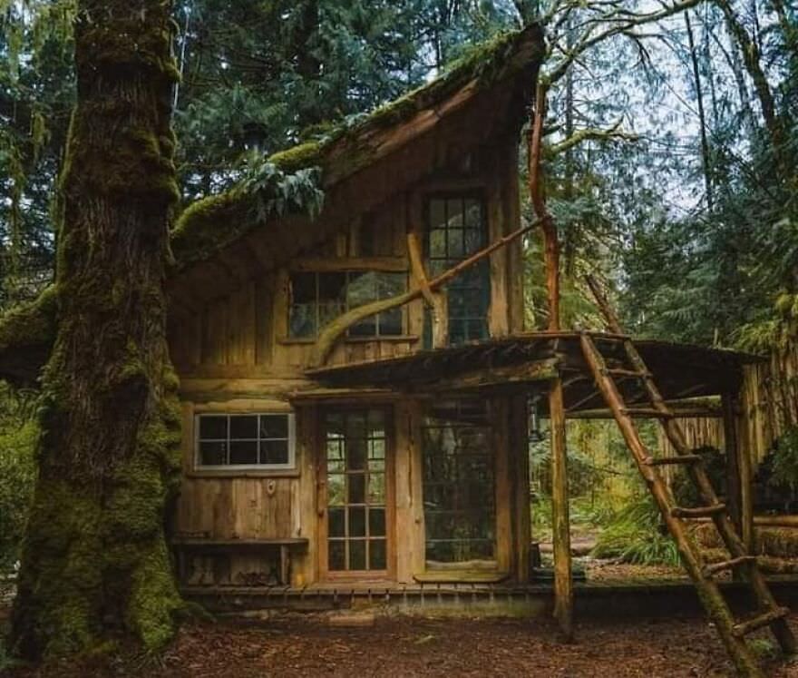 Beautiful tree house.