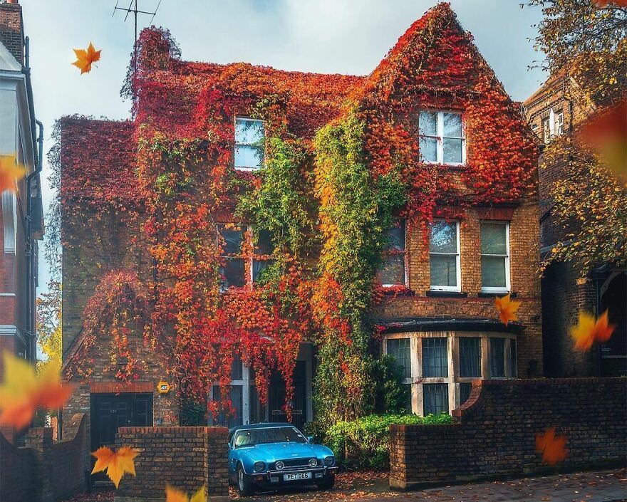 Autumn in London.