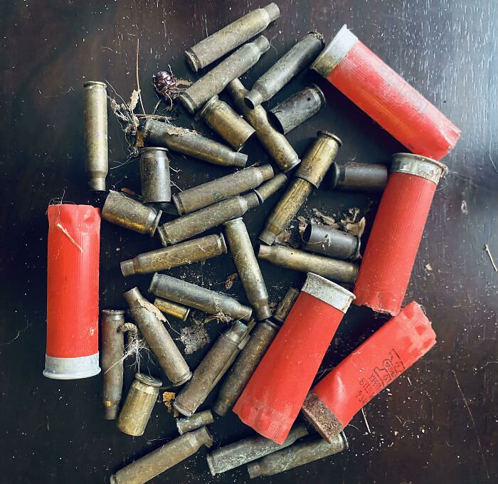 This assortment of spent ammunition i found digging up the flower beds at my new house. Or: tell me you live in america without saying you live in america
