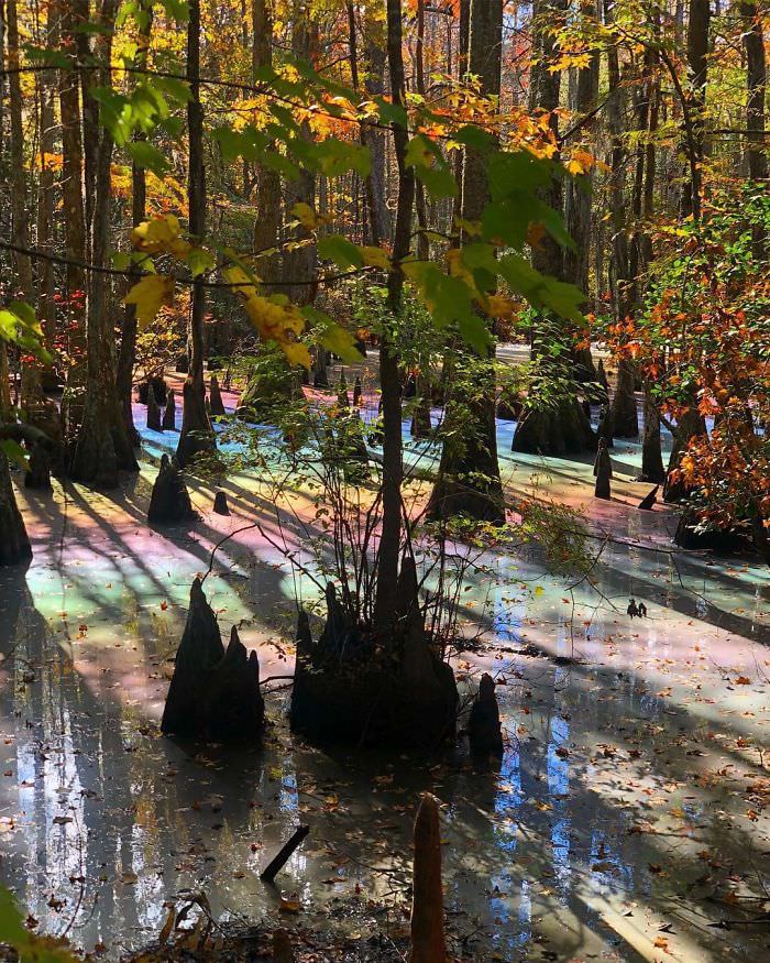 Hikers walking in the woods saw a rainbow pool for the first time.