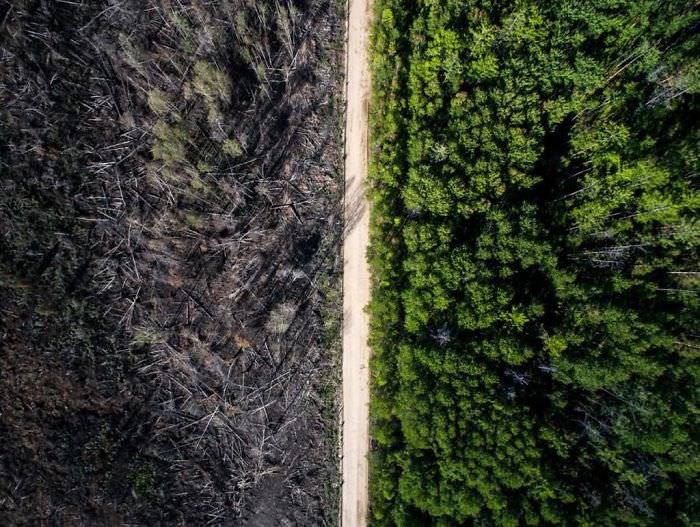 The road that stopped the fire.