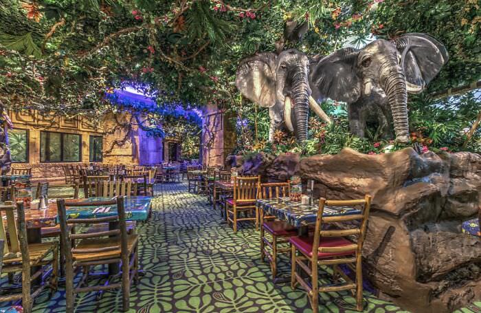 Every Rainforest Cafe is frustrating due to cleanliness concerns.