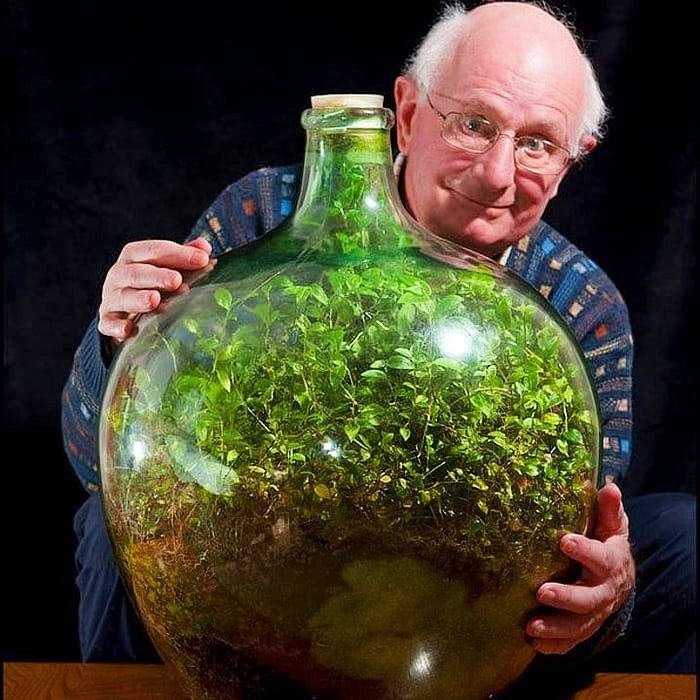 In 1960, David Latimer planted a tiny garden inside a large glass bottle and sealed it shut.