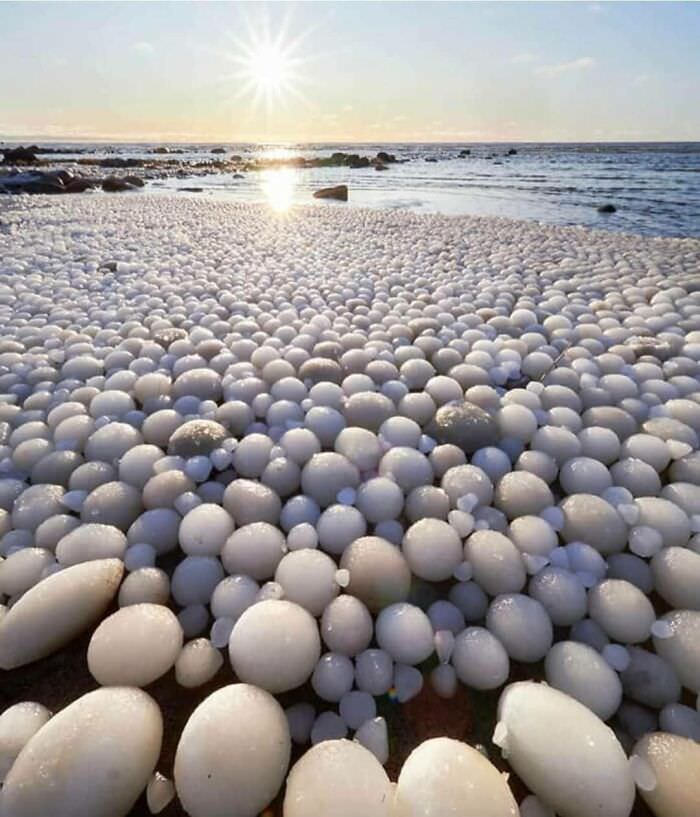 Ice eggs: Thousands of ice balls covering a beach in Finland due to a phenomenon where ice is rolled over by water and wind.