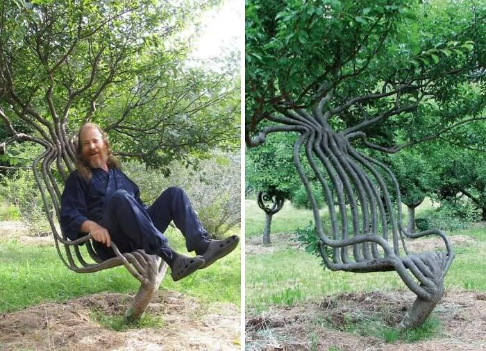 This artist spent eight years creating this tree-chair using methods of gradual redirection of the branches, shaping the trees as they grow according to predetermined designs.