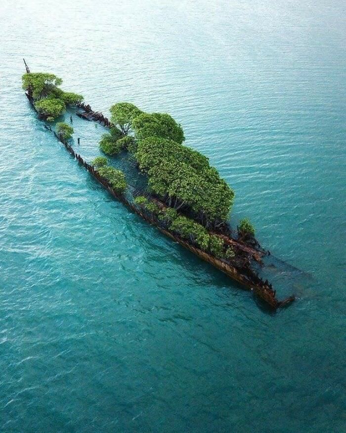 An amazing mini island fort created in an old sunken ship with trees, Australia.