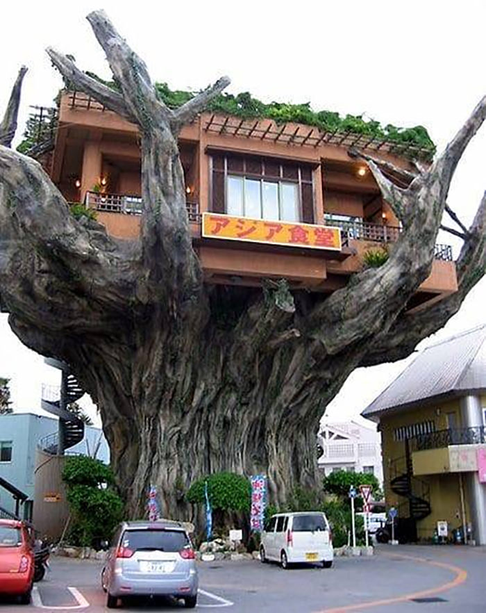 Restaurant Okinawa, Japan.