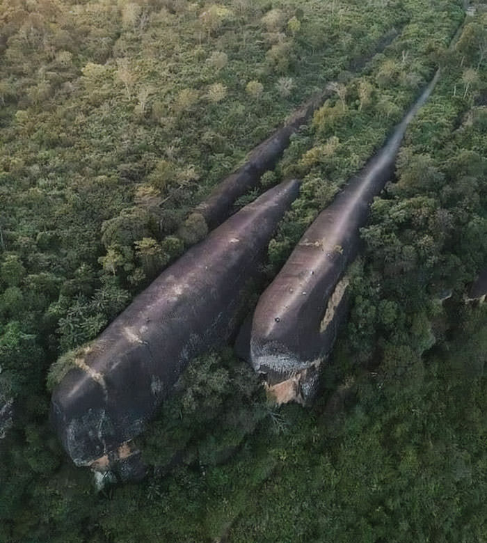 At the summit of Sam Wan Mountain in Bueng Kan Province, Thailand, there are three rock masses evoking floating whales that formed about 75 million years ago.