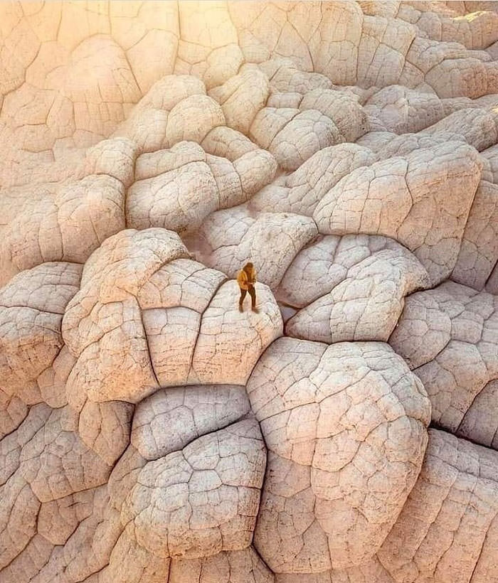 The White Pocket is an isolated, notoriously hard-to-reach patch of sandstone hidden within the desert expanse of Vermilion Cliffs National Monument near the Arizona-Utah border.