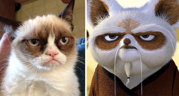 Grumpy Cat looks like Master Shifu from Kung Fu Panda