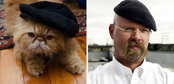 Cat looks like Jamie from Mythbusters.