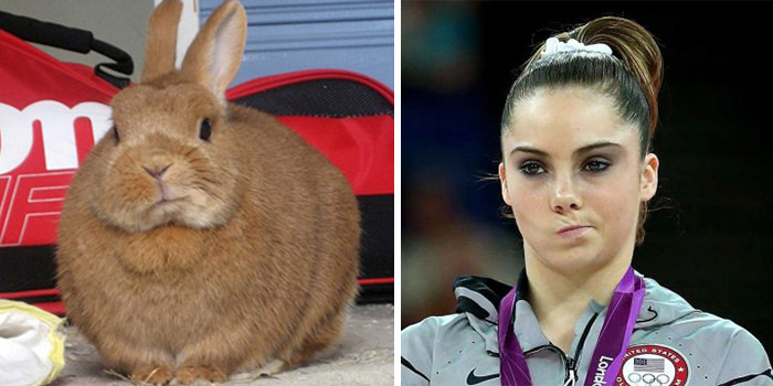 This bunny looks like McKayla Maroney.