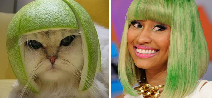 Pomelo cat resembles Nicki Minaj.