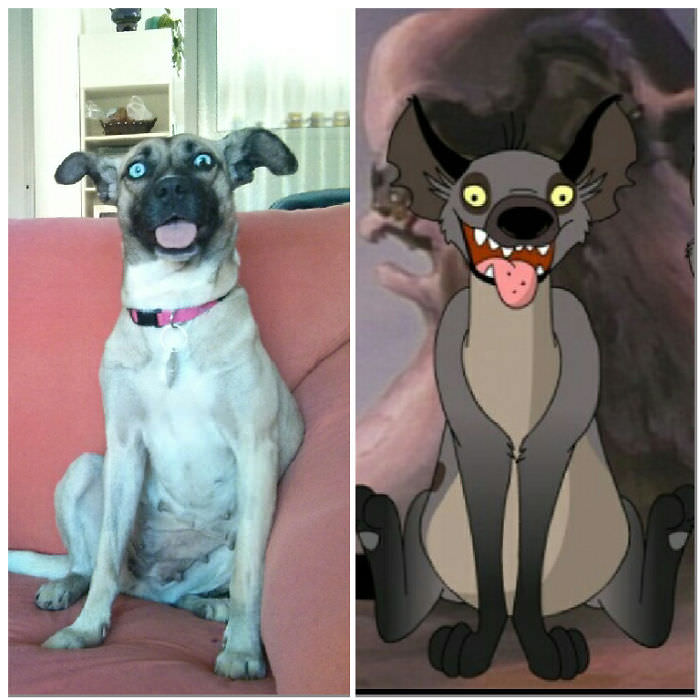 My dog looks like Ed the hyena from The Lion King.