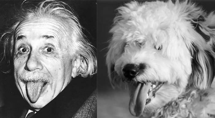 Einstein & Pufy.