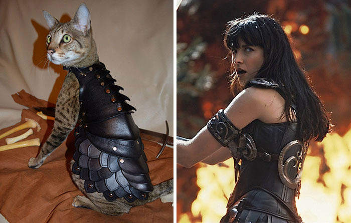 This cat resembles Xena, Warrior Princess.