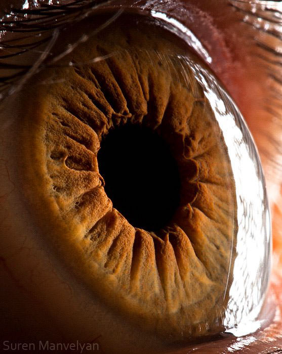 Extraordinary Close-Up Photos of Human Eyes That Capture the Beauty in Details