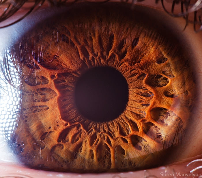 Extraordinary Close-Up Photos of Human Eyes That Capture the Beauty in Details