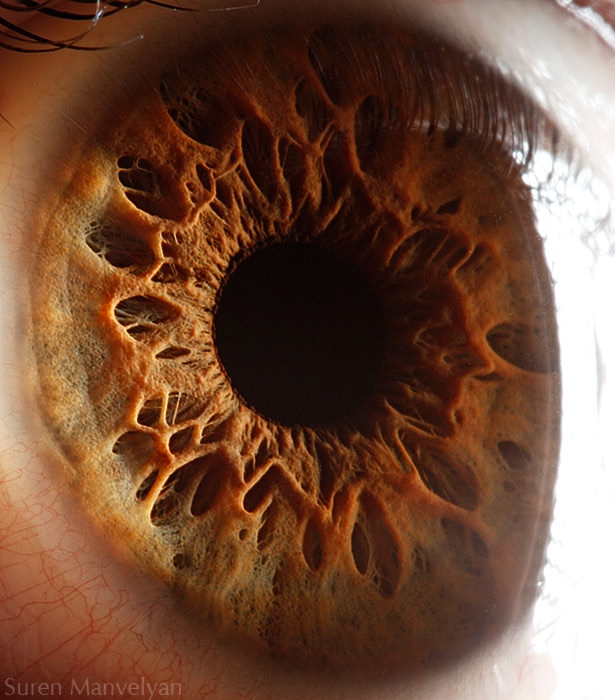 Extraordinary Close-Up Photos of Human Eyes That Capture the Beauty in Details