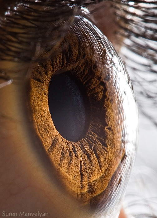 Extraordinary Close-Up Photos of Human Eyes That Capture the Beauty in Details