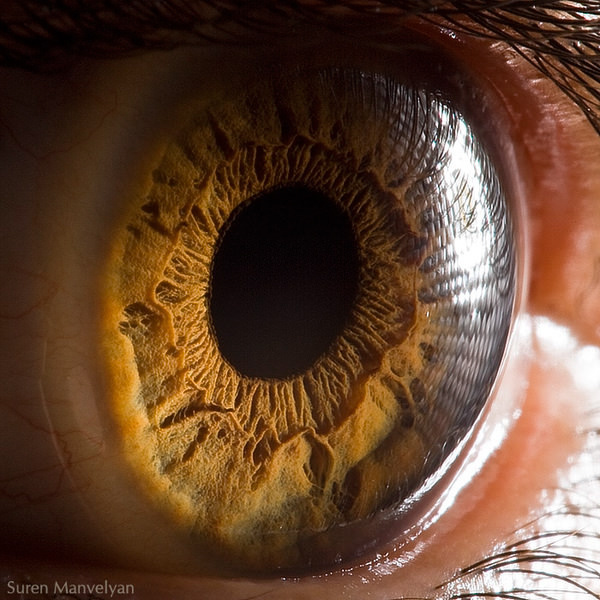 Extraordinary Close-Up Photos of Human Eyes That Capture the Beauty in Details