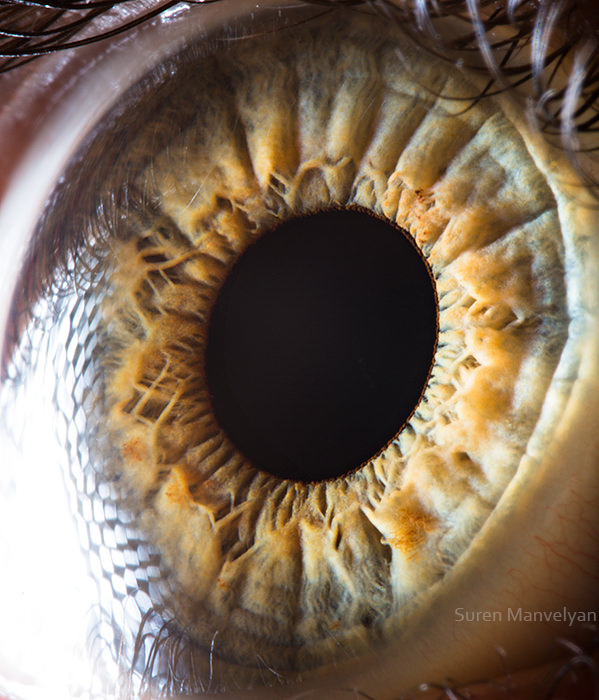 Extraordinary Close-Up Photos of Human Eyes That Capture the Beauty in Details