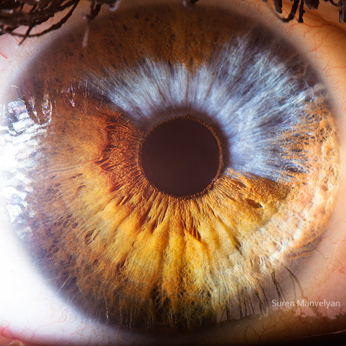 Extraordinary Close-Up Photos of Human Eyes That Capture the Beauty in Details