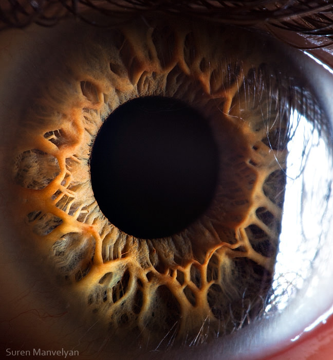 Extraordinary Close-Up Photos of Human Eyes That Capture the Beauty in Details